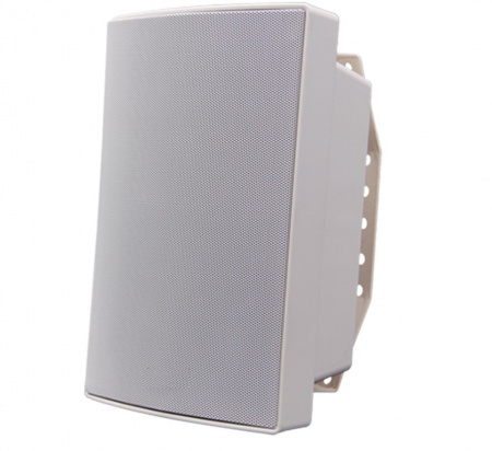 RVi-2PAH1W Сетевой громкоговоритель Фото