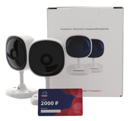 2TRCloud2000 Комплект облачного видеонаблюдения Фото