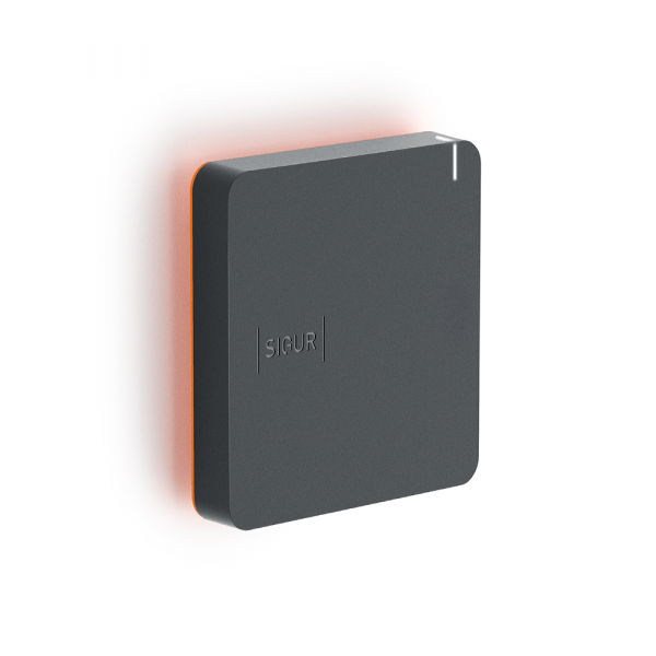 Считыватель Sigur MR100 v.2 Фото