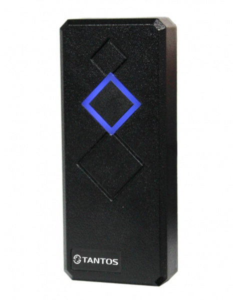 Считыватель TS-RDR-MF Black (Indoor) Фото