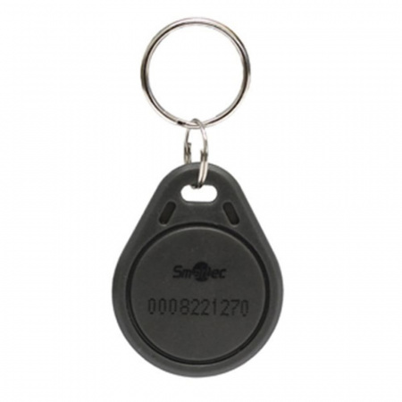 ST-PT011MF-GR Брелок Фото