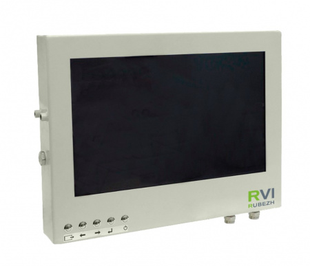 RVi-4ETM-H.S1A-21/H/LT Взрывозащищенный монитор Фото