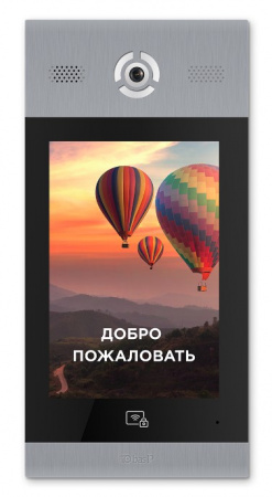 AA-14FB SILVER Вызывная панель подъездного IP-домофона Фото